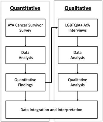 Financial Burden and Mental Health Among LGBTQIA+ Adolescent and Young Adult Cancer Survivors During the COVID-19 Pandemic